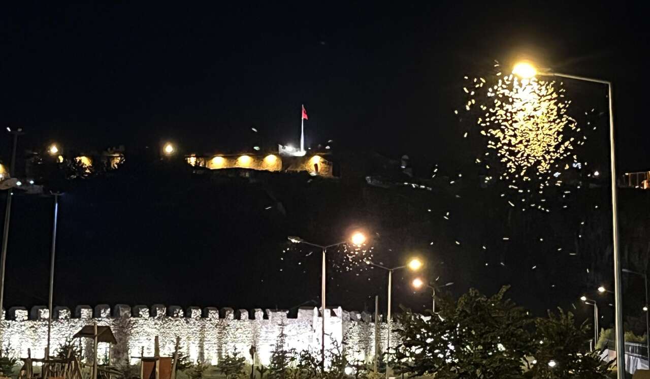 Dans ederek ölüme gittiler 2